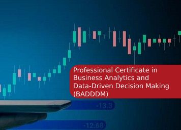 Professional Certificate in Business Analytics and Data-Driven Decision Making (BADDDM)