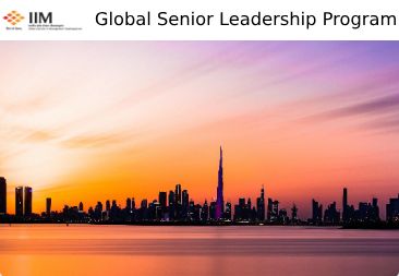 Global Senior Leadership Program